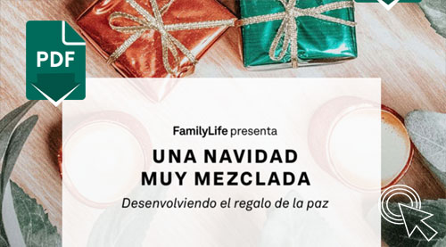Una Navidad muy Mezclada